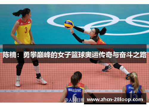 陈楠：勇攀巅峰的女子篮球奥运传奇与奋斗之路