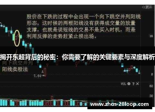 揭开东超背后的秘密：你需要了解的关键要素与深度解析